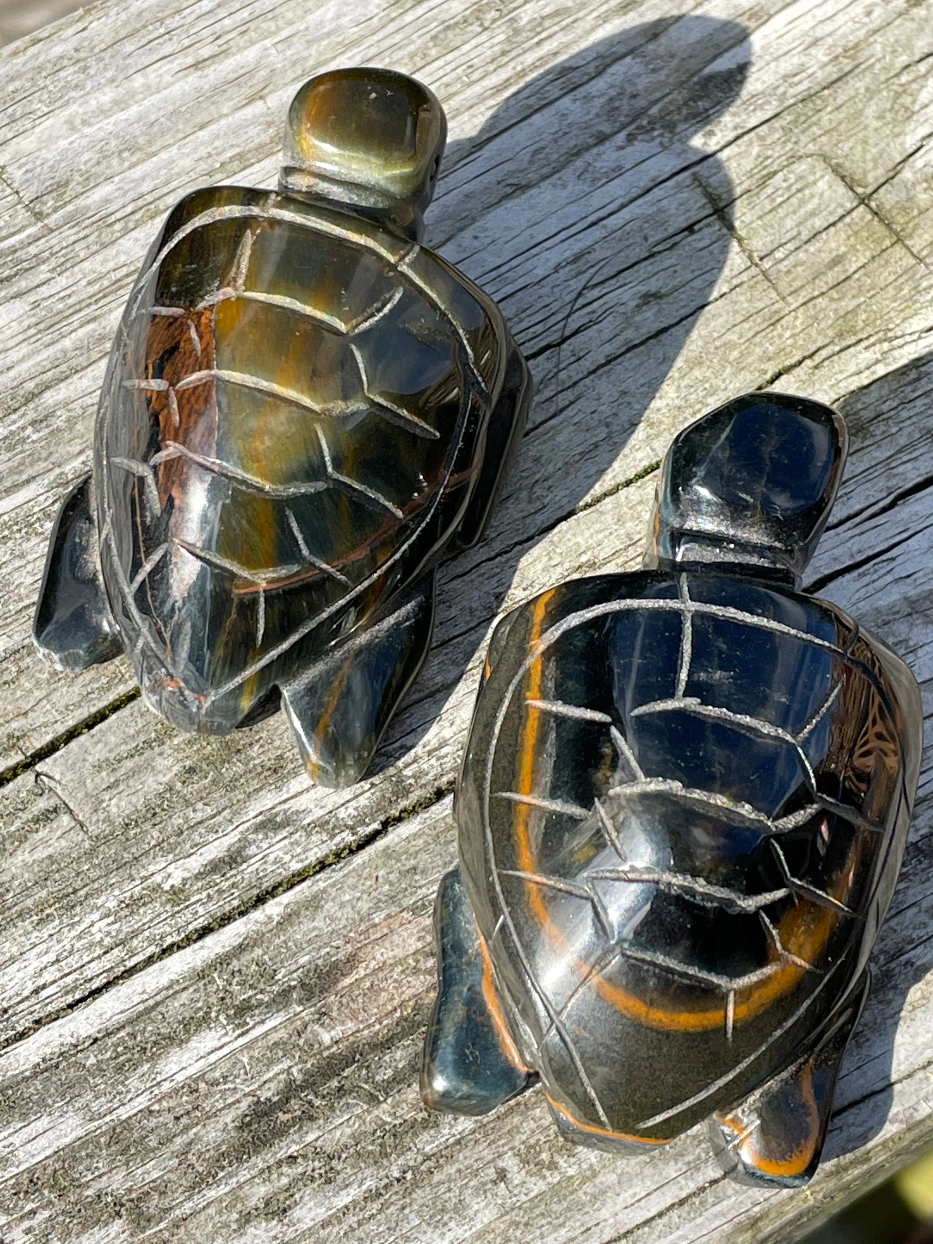 Blue Tiger Eye Hawk Eye Turtle Carvings (2.5)