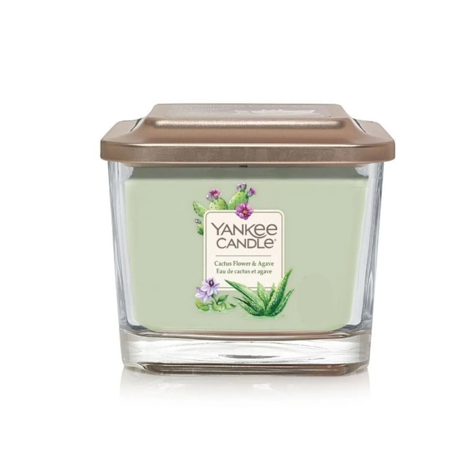 Cactus Flower & Agave Elevation Candle Medium Jar