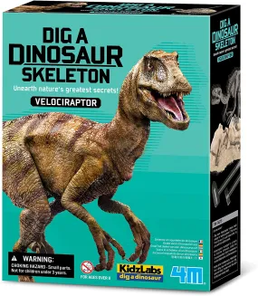 Dig a Velociraptor