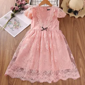 Girls' Dress Summer Pink Lace Skirt Sweet Princess Skirt Embroidery Large Children's Gauze Skirt