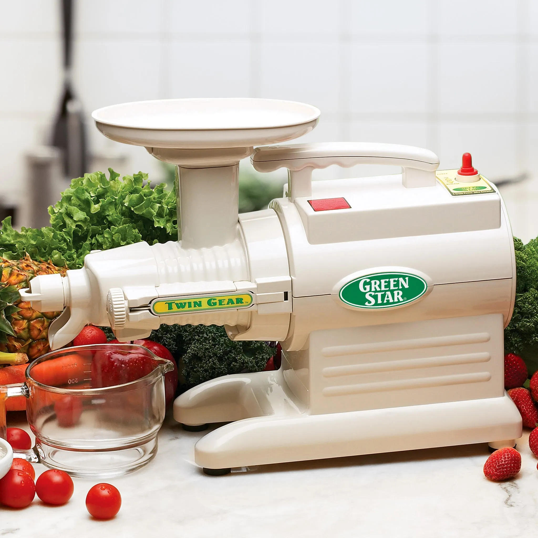 Greenstar Original Refurbished Basic Twin Gear Slow Masticating Juicer