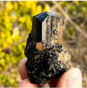 Natural black tourmaline quartz crystal mineral specimen