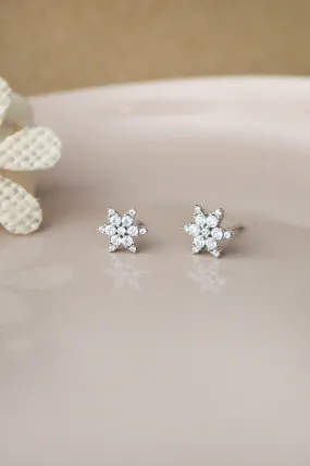 Shinning Daisy Flower Sterling Silver Stud Earrings